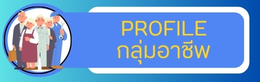 PROFILE กลุ่มอาชีพ