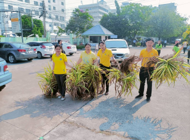 สหกรณ์จังหวัดร้อยเอ็ด ... พารามิเตอร์รูปภาพ 11