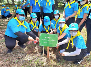 สำนักงานสหกรณ์จังหวัดร้อยเอ็ดเข้าร่วมกิจกรรมจิตอาสาปลูกต้นไม้ตามโครงการรักษาฟื้นฟูทรัพยากรธรรมชาติ เพื่อเฉลิมพระเกียรติพระบาทสมเด็จพระเจ้าอยู่หัว และสมเด็จพระนางเจ้าสิริกิติ์ พระบรมราชินีนาถ พระบรมราชชนนีพันปีหลวง ... พารามิเตอร์รูปภาพ 12