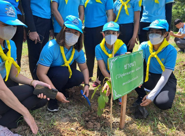 สำนักงานสหกรณ์จังหวัดร้อยเอ็ดเข้าร่วมกิจกรรมจิตอาสาปลูกต้นไม้ตามโครงการรักษาฟื้นฟูทรัพยากรธรรมชาติ เพื่อเฉลิมพระเกียรติพระบาทสมเด็จพระเจ้าอยู่หัว และสมเด็จพระนางเจ้าสิริกิติ์ พระบรมราชินีนาถ พระบรมราชชนนีพันปีหลวง ... พารามิเตอร์รูปภาพ 13