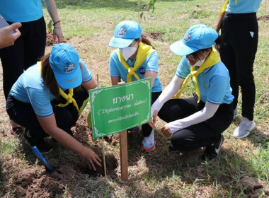 สำนักงานสหกรณ์จังหวัดร้อยเอ็ดเข้าร่วมกิจกรรมจิตอาสาปลูกต้นไม้ตามโครงการรักษาฟื้นฟูทรัพยากรธรรมชาติ เพื่อเฉลิมพระเกียรติพระบาทสมเด็จพระเจ้าอยู่หัว และสมเด็จพระนางเจ้าสิริกิติ์ พระบรมราชินีนาถ พระบรมราชชนนีพันปีหลวง ... พารามิเตอร์รูปภาพ 14