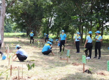 สำนักงานสหกรณ์จังหวัดร้อยเอ็ดเข้าร่วมกิจกรรมจิตอาสาปลูกต้นไม้ตามโครงการรักษาฟื้นฟูทรัพยากรธรรมชาติ เพื่อเฉลิมพระเกียรติพระบาทสมเด็จพระเจ้าอยู่หัว และสมเด็จพระนางเจ้าสิริกิติ์ พระบรมราชินีนาถ พระบรมราชชนนีพันปีหลวง ... พารามิเตอร์รูปภาพ 16