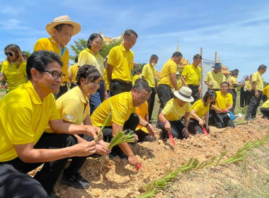 สหกรณ์จังหวัดร้อยเอ็ด เข้าร่วมกิจกรรมโครงการพัฒนา 72 สายน้ำ ... พารามิเตอร์รูปภาพ 9