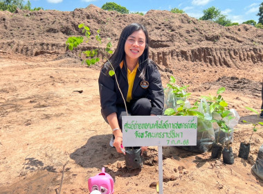 สหกรณ์จังหวัดร้อยเอ็ด ... พารามิเตอร์รูปภาพ 8
