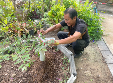 สหกรณ์จังหวัดร้อยเอ็ด ... พารามิเตอร์รูปภาพ 4