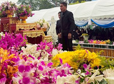 จังหวัดร้อยเอ็ด ... พารามิเตอร์รูปภาพ 7